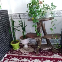 پایه گل با گلدان ها