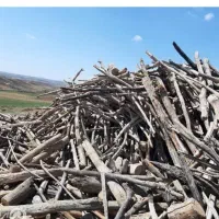 چوب شمارو با بالا ترین قیمت خریداریم