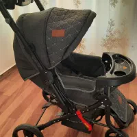 کالسکه تاشو دلیجان