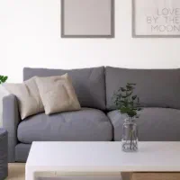 همخونه/همخانه