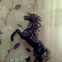 دکوری کنار سالنی