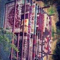 قالیشویی ممتاز گل ابریشم