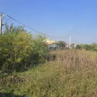 زمین۲۲۰متری|فروش زمین و ملک کلنگی|واجارگاه, |دیوار