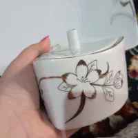 ظروف چینی