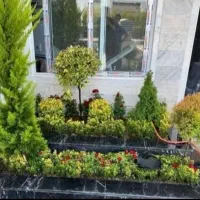 خدمات کلیه باغبانی باغچه کاری گلکاری کاشت گل وگیا|خدمات باغبانی و درختکاری|شهریار, شهرک شاهد|دیوار