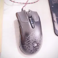 موس بلادی