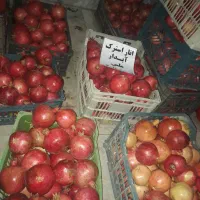 انار استرک۸۵