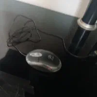 موس پی نت سالم