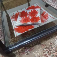 دودست میوه خوری بسیار زیبا وشیک
