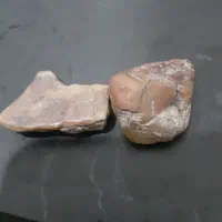 ۲ عدد کهربای اصل وزن حدودا۶ت۷گرم یکشجرگیلان|کلکسیون اشیاء عتیقه|بندر انزلی, سید آسیه|دیوار