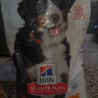 غذای خشک سگ برند هیلز