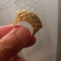 النگو وانگشترطلاروس رنگ ثابت|بدلیجات|پرند, فاز ۴|دیوار