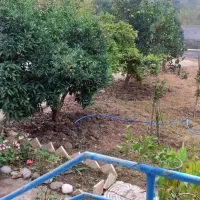 خانه سرا ۱۴۰۰ متری کامل مسکونی / سند دار شیرگاه|فروش خانه و ویلا|شیرگاه, |دیوار