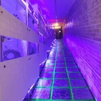 استخدام در مجموعه گردشگری آکواریوم پارک|استخدام اداری و مدیریت|تهران, پارک شهر|دیوار