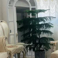 آینه قدی چوبی