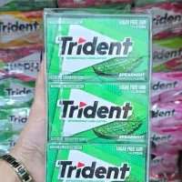 آدامس تریدنت اصلی اورجینال