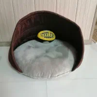 جای خواب سگ و گربه