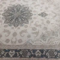 فرش ۹متری|فرش|شیراز, شاه قلی بیگی|دیوار