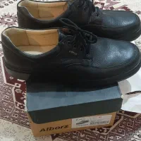 کفش چرم البرز