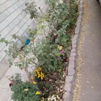 رهن و اجاره خانه ویلای راه مجزا.رباط اول.رزمندگان