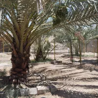اجاره سویت مجهز و اقامت گاه