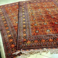 کرک مرینوس ۵۰ رج رنگ خاص و تک