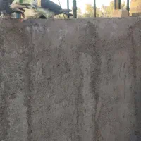 کفتر|حیوانات|قم, شهرک فاطمیه|دیوار