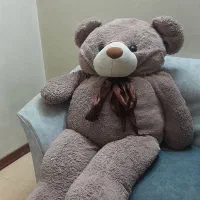 خرس ۱۴۰ سانتی