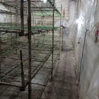 وسایل پرورش قارچ|ابزارآلات|خواجه, |دیوار