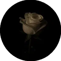 لوازم آرایشی و بهداشتی