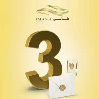 درآمد از طلاسی