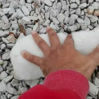 2تاتوله یکی نریکی ماده 2ماهه|سگ|کرمانشاه, |دیوار