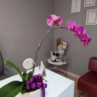 منشی متخصص زنان