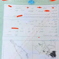 فروش نیم هکتار زمین کشاورزی عنایت اباد(نجف آباد)