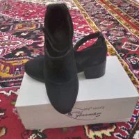 کفش مجلسی