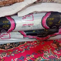 فرش 12متری|فرش|میناب, |دیوار