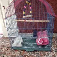 قفس پرنده سایز بزرگ