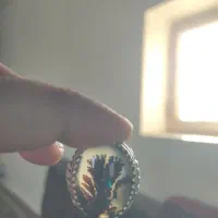 انگشتر شجر کلکسیونی