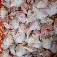 کله مرغ تازه