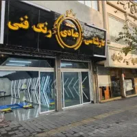 کارشناسی رنگ وفنی خودروعبادی (نمایندگی صادقیه)