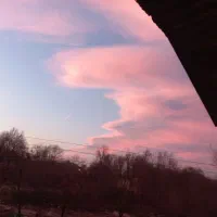 اجاره-خانه-ویلایی-فقط-تجاری