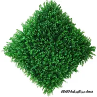 چمن مصنوعی وگرین وال مخصوص فضای لوکس شما|خدمات پیشه و مهارت|رشت, پیرسرا|دیوار