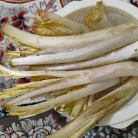 کنگر تازه سرحد