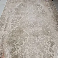 فرش 1/2|فرش|مشهد, کوی دروی|دیوار