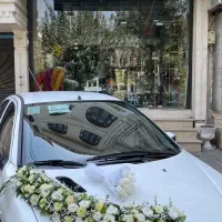 نیروی کار آقا