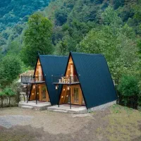 سازنده ساخت کلبه سوئیسی