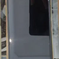 شیامی در حد نو