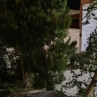 منزل فروشی|فروش خانه و ویلا|شهرضا, |دیوار