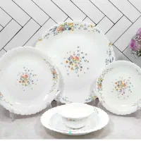 سرویس 25پارچ ایروپال