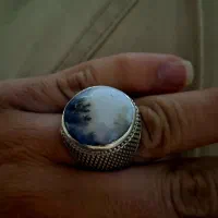 انگشتر شجر قائنات.